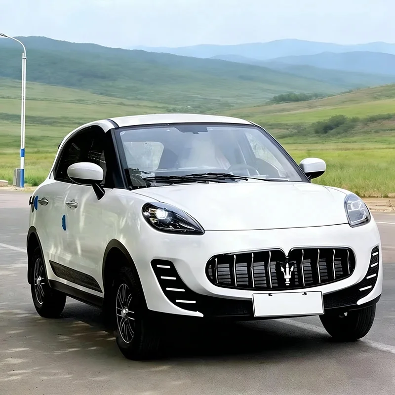 Hot Sale Customized 4-wheel Car New Energy Vehicle Car