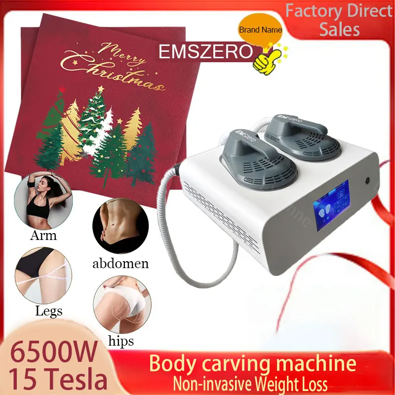 EMS muscle stimulator EMSZERO RF electromagnetic muscle exercise slimming 15 Tesla muscle gain and fat loss