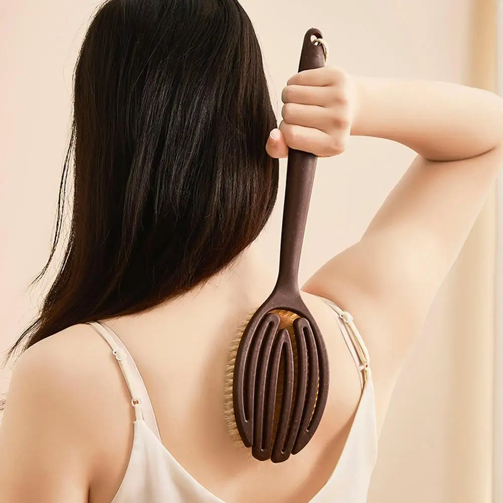 Long Handle Bath Brush With Coconut Fiber And Soft Bristle, Exfoliating Back Scrubber For Shower, Body Wash Tool