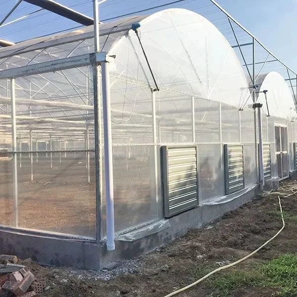 

Customized greenhouseIntelligent Multi-span Plastic Film Greenhouse with Steel Structure & Hydroponic Vertical Farming Support