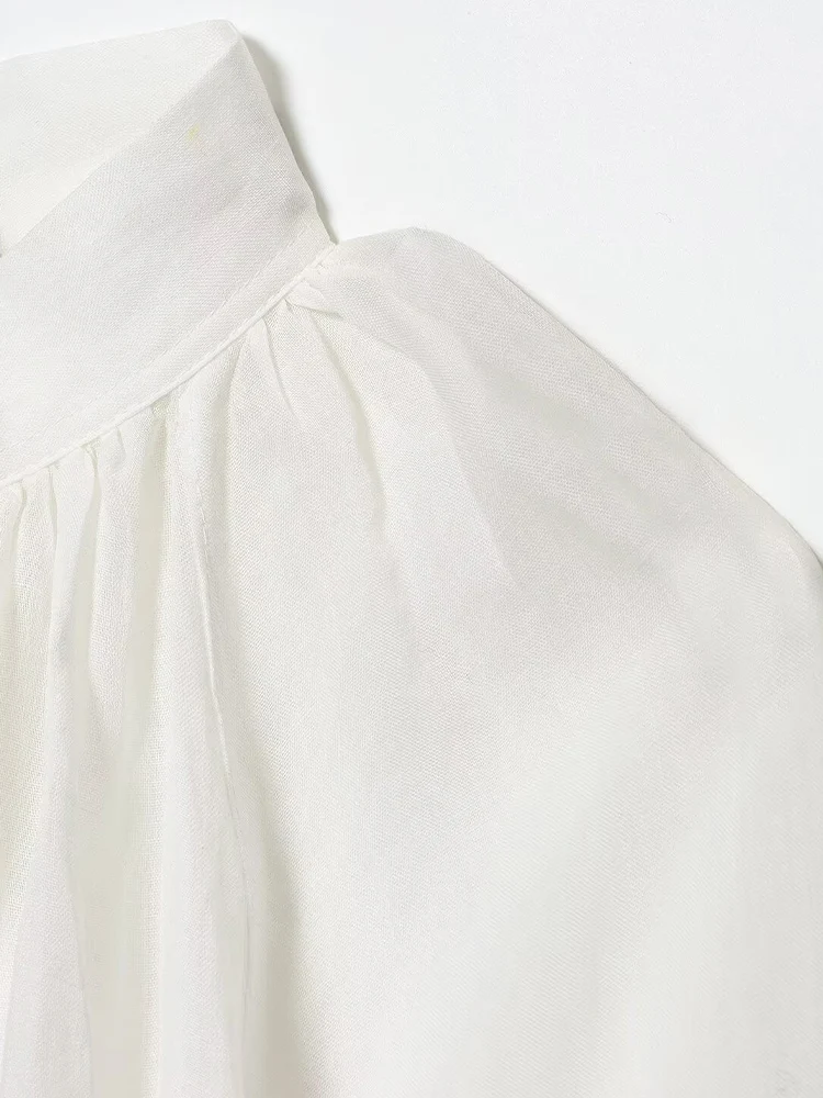 Europese en Amerikaanse stijl herfst nieuwe dameskleding 2025, modieus topshirt met opstaande kraag en lantaarn met lange mouwen