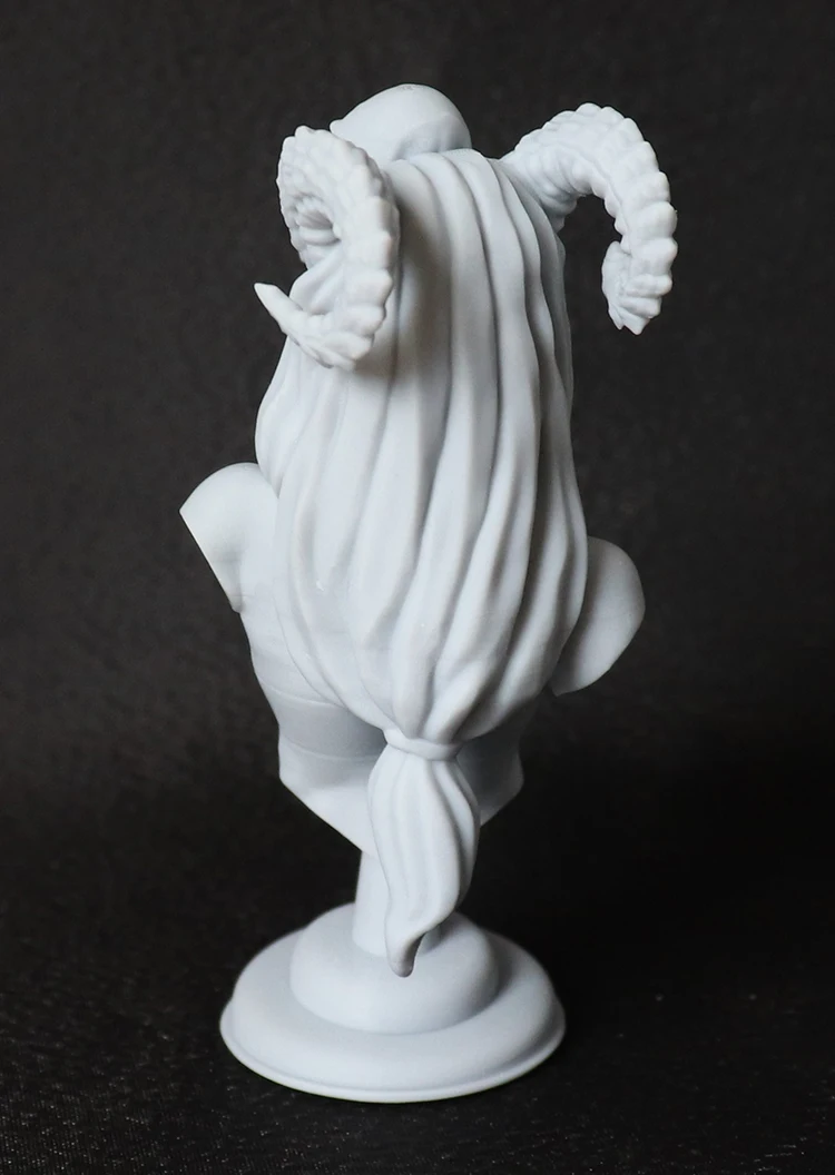 60mm 80mm  Resin Model Kits Tribal Queen Bust Figure Sculpture Unpainted No Color RW-743