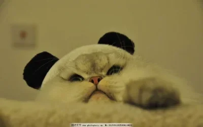 

Комплект из 4 металлических шайб-проставок для крепления двигателя 7759 7759R для радиоуправляемых моделей Trxs 1/5 X-MAXX 6S 8S, 1/6 XRT 8S – запчасти и аксессуары для тюнинга