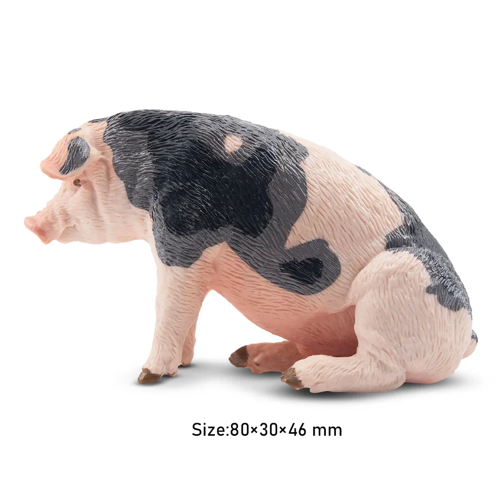 Toymany Simulation Daddy Pietrain Pig Farm Animal Model Toy Mini Figures Dolls Action Figurines Toys Children Gift