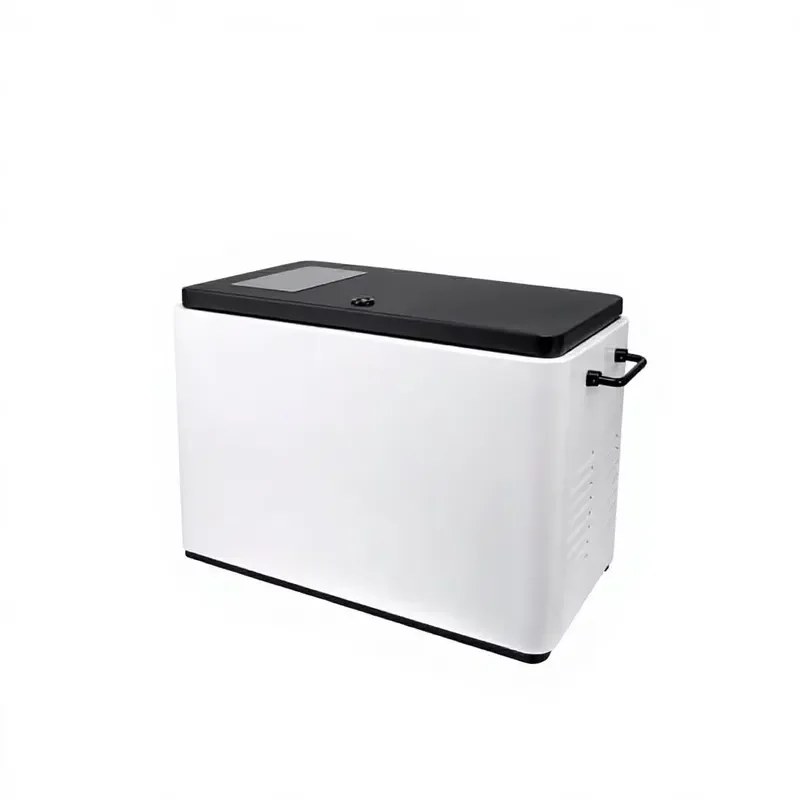 i DaringFish Hot Sale Electric Smart Silent 4bar High-Pressure 4L Stainless Steel Fog Machine Remote Humidity Control Factory
