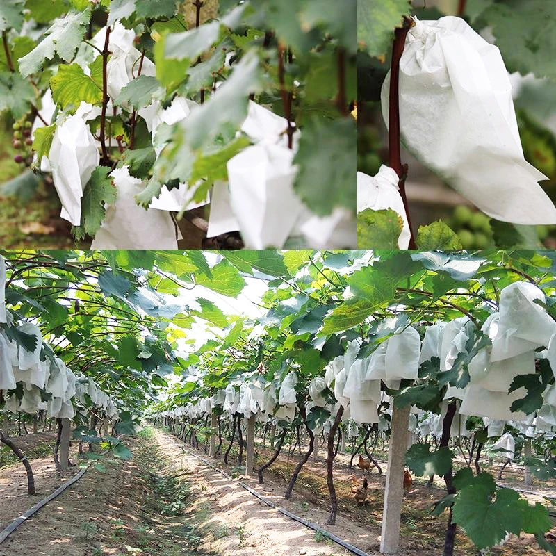 100Pcs Garden Grapes Fruit Protection Bags Cover Plant Nursery Bag Pest Control Anti-Pird Non-Woven Fabric Bag Gardening Protect