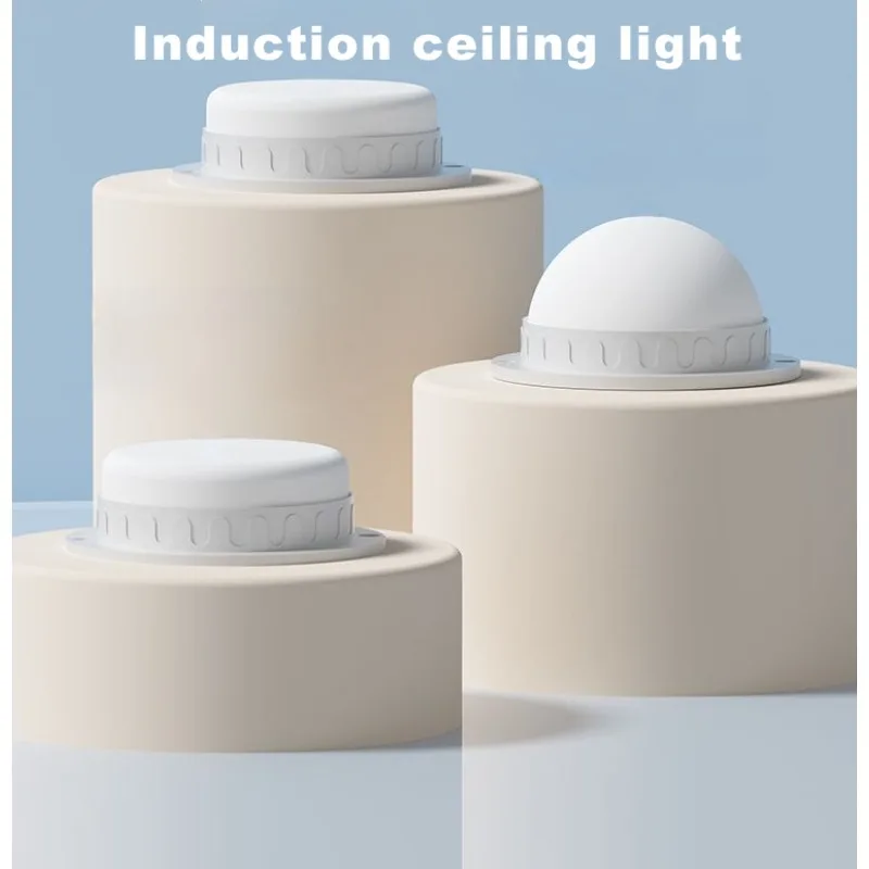 

220v LED Induction Ceiling Lamp 8w12w Waterproof Voice-controlled Light Suitable for Corridor Bedroom Outdoor Wall Lamp