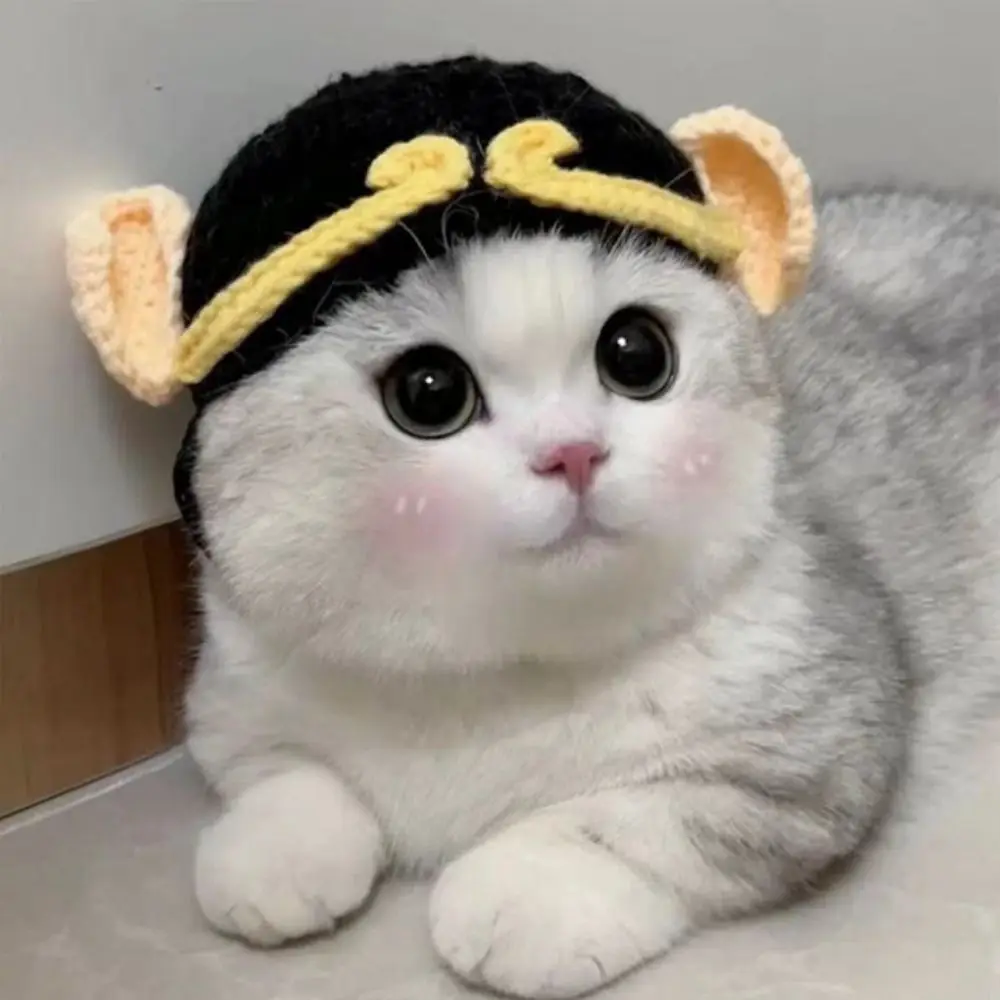 Cute 2023 Elastic Warm Handmade for Party Photo Props Pet Cap Cat Hat Frog Hat