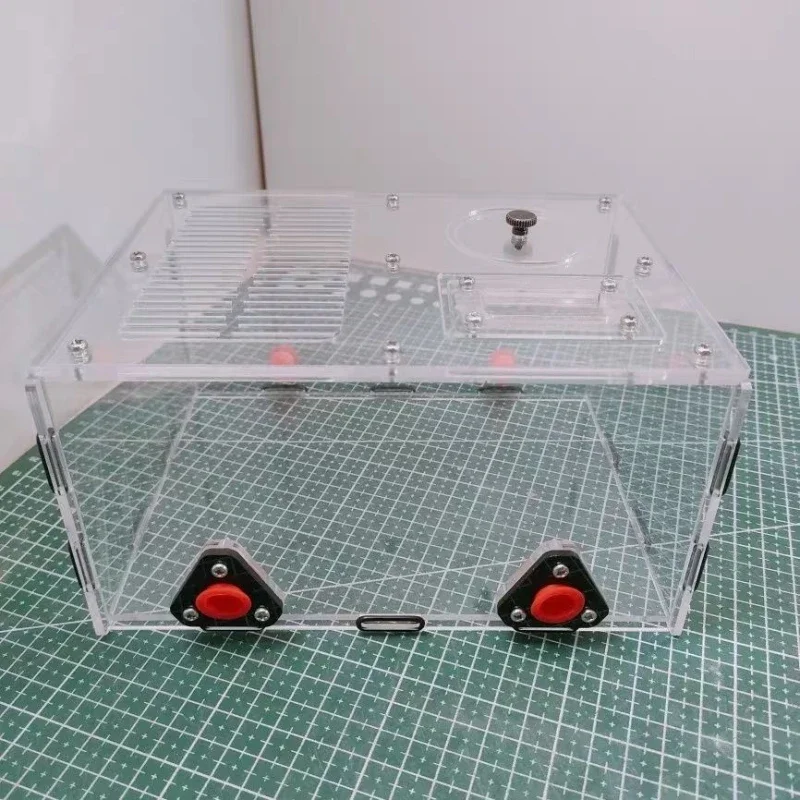 

Военный корабль муравьи, зона занятий в театральное гнездо, расширение, коробка для кормления домашних животных