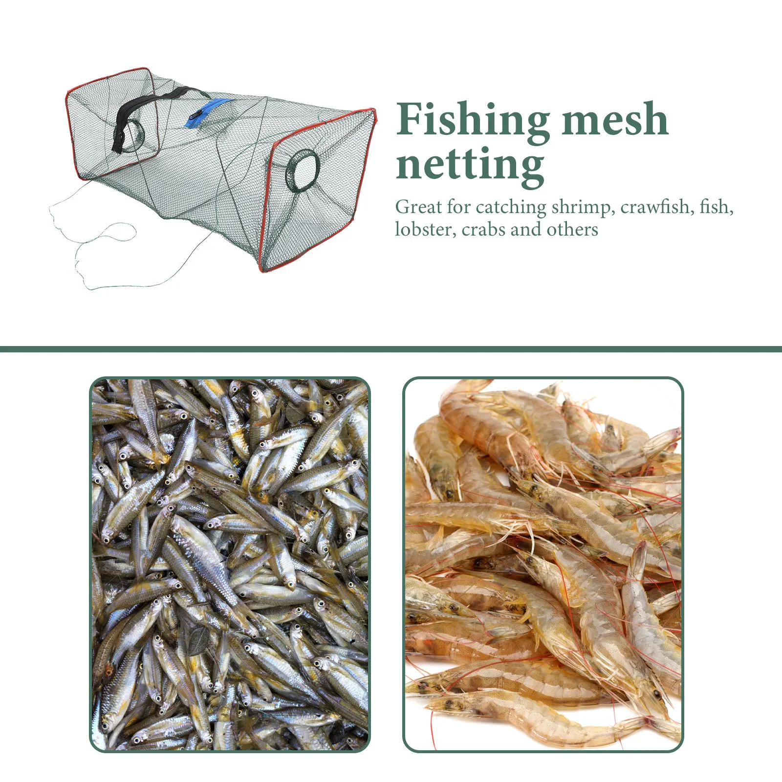 

3Pcs Large Capacity Folding Crab Trap Portable Lobster Crawfish Shrimp Fishing Cast Net Crab Trap Folding Fish Net