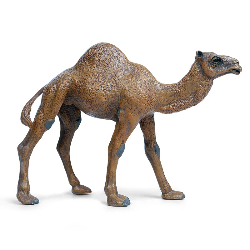 Simulated animal plastic model pendulum camel solid static model big single humped camel children\'s animal toy