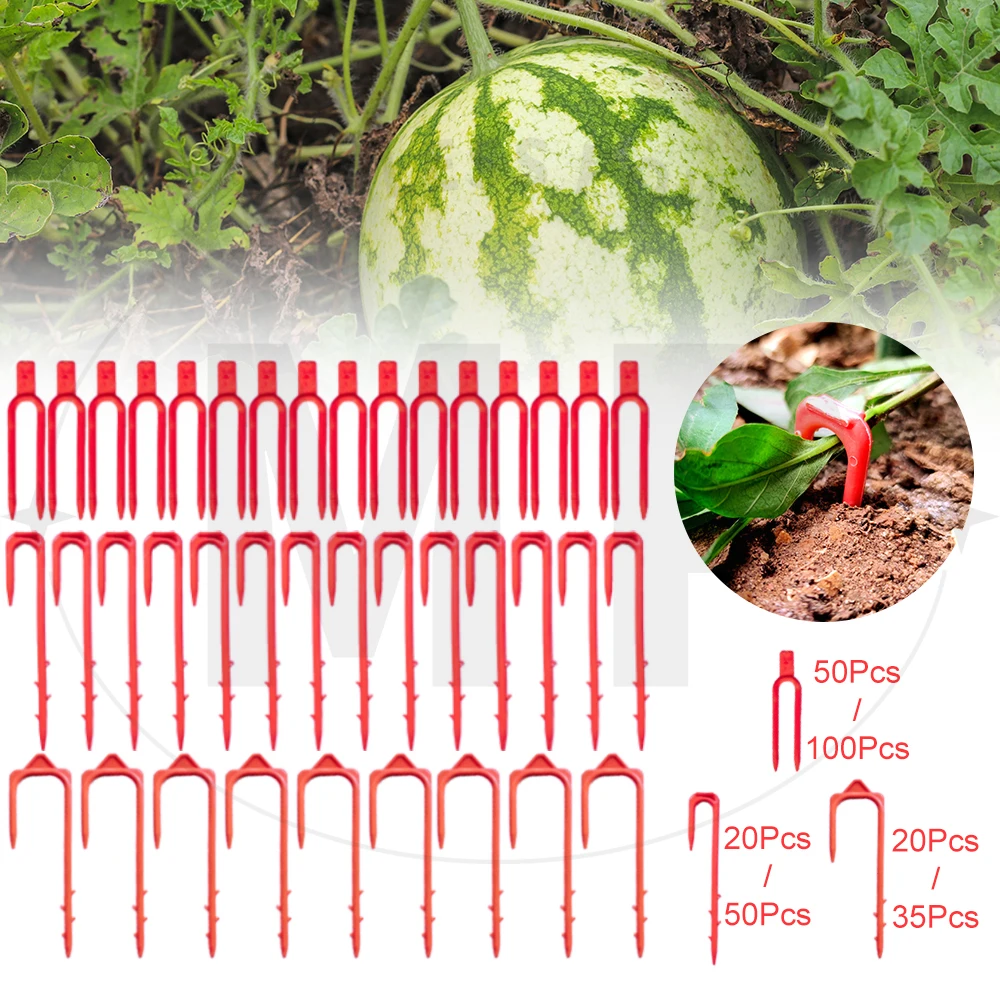 20Pcs/35Pcs/50Pcs/100Pcs Strawberry Planting Fork Drip Tape Stakes Watermelon Vine Fastening Fixture Stolon Fixator Press Rattan