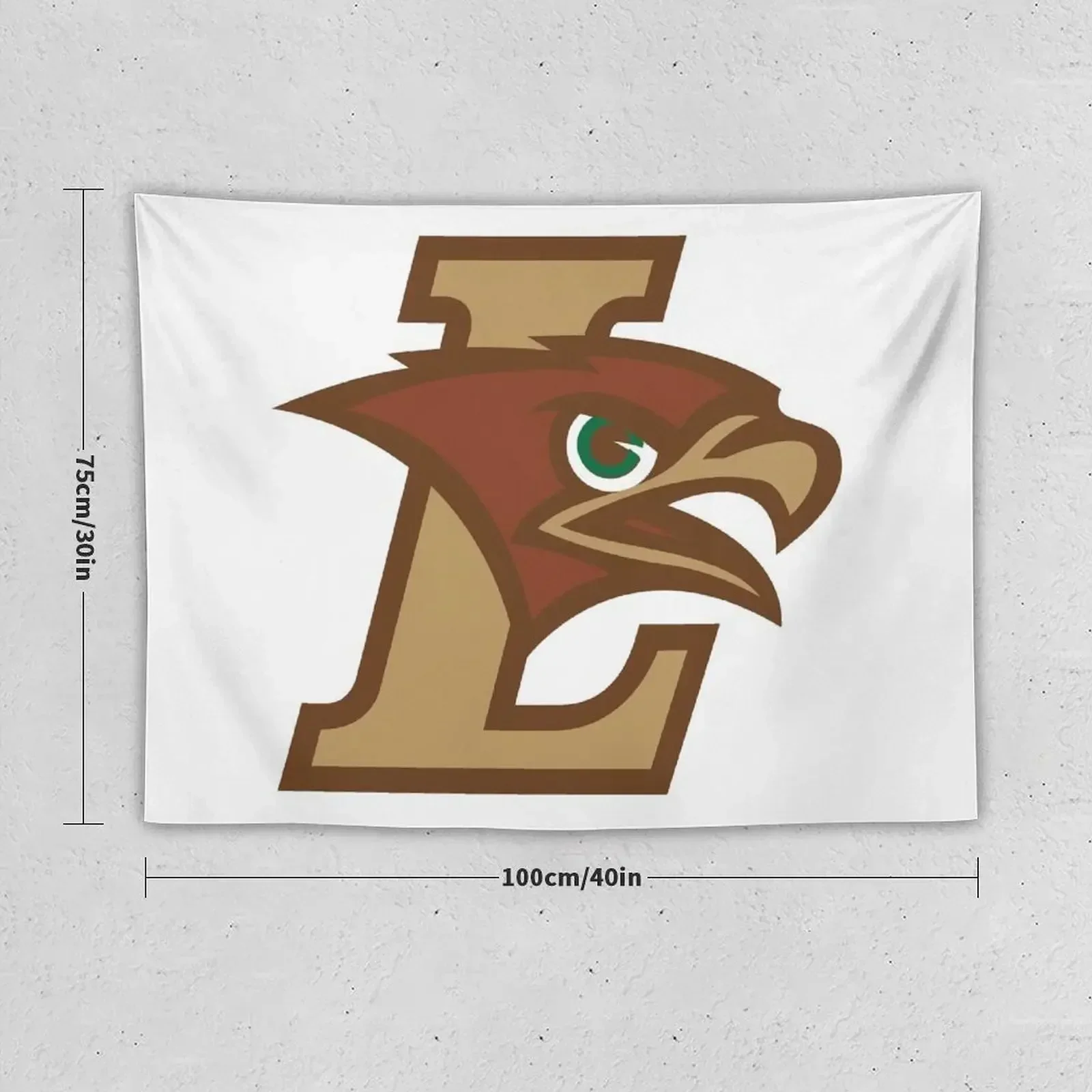 The Lehigh Mountain Hawks Tapestry Decor Home Home Decorators Wall Decoration Items Tapestry