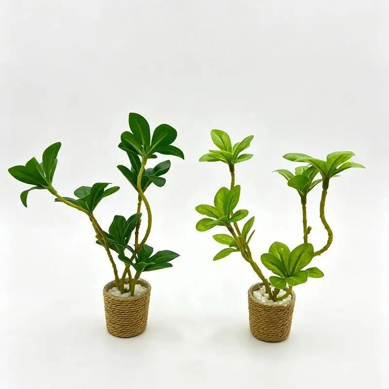 【M】1Pcs Mini Fairy Garden Decorative Ornament 1/6 Scale Miniature Dollhouse Green Potted Plant Bonsai For Doll Accessories Toy