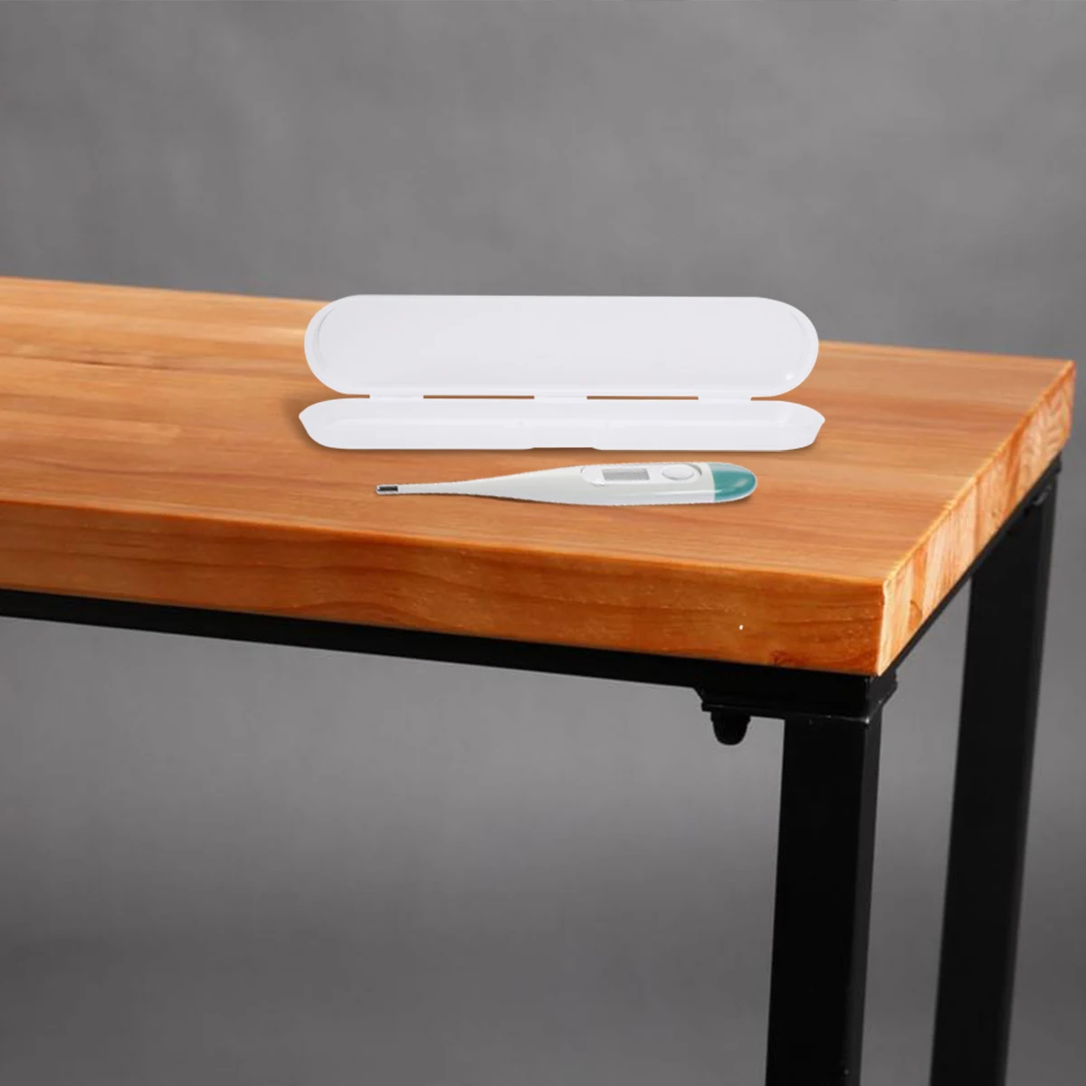 

2Pcs Thermometer Storage Case Plastic for Temperature Tool 14.5x3x1.5cm Small Travel Holder Protection Sleeve