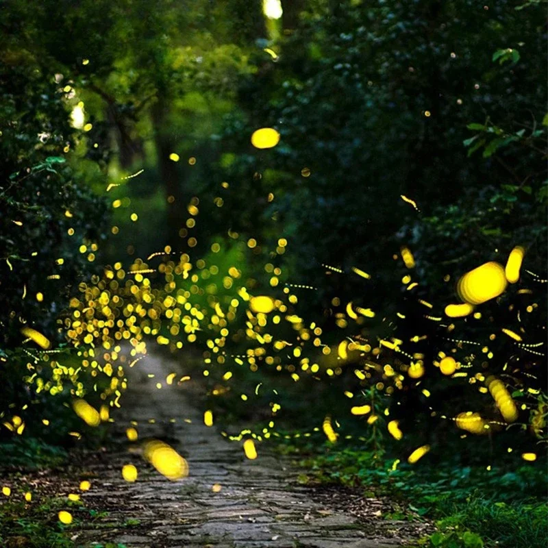 Dynamische Firefly-projectielicht Laser Gypsy Star Light-projector buitenlandschap