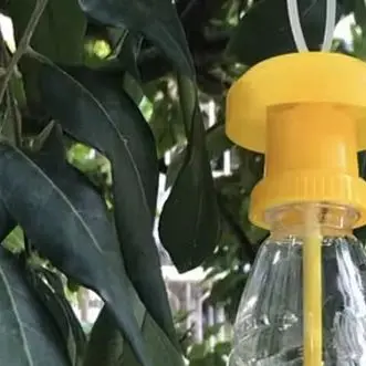 1Pc Fruit Fly Trap Killer Yellow Drosophila Trap Flypaper Insect Pest Control For Home Farm Orchard Plastic