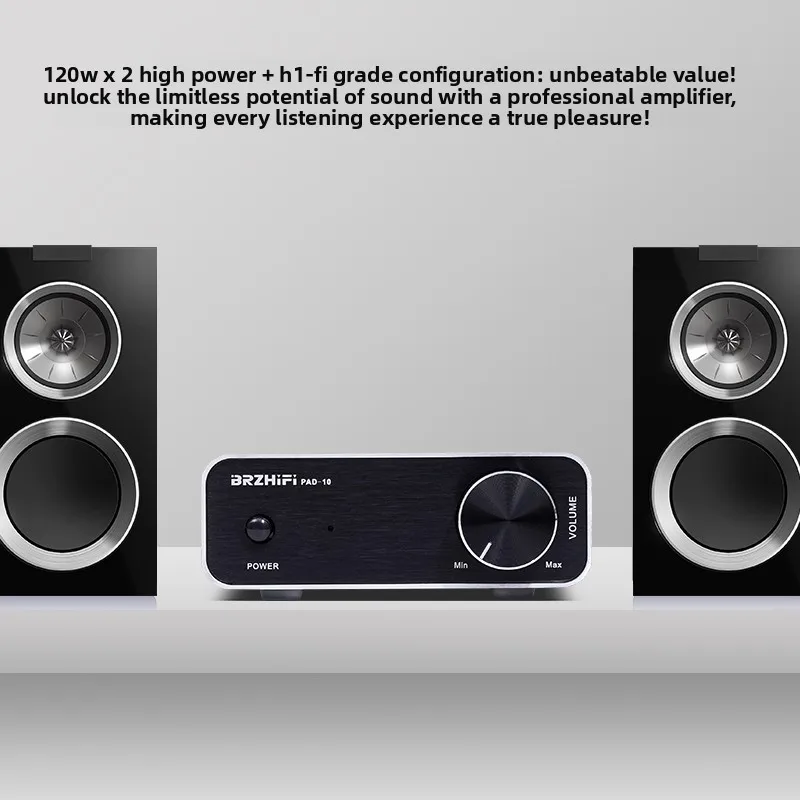 High-power household digital power amplifier hifi audiophile desktop small pure rear stage