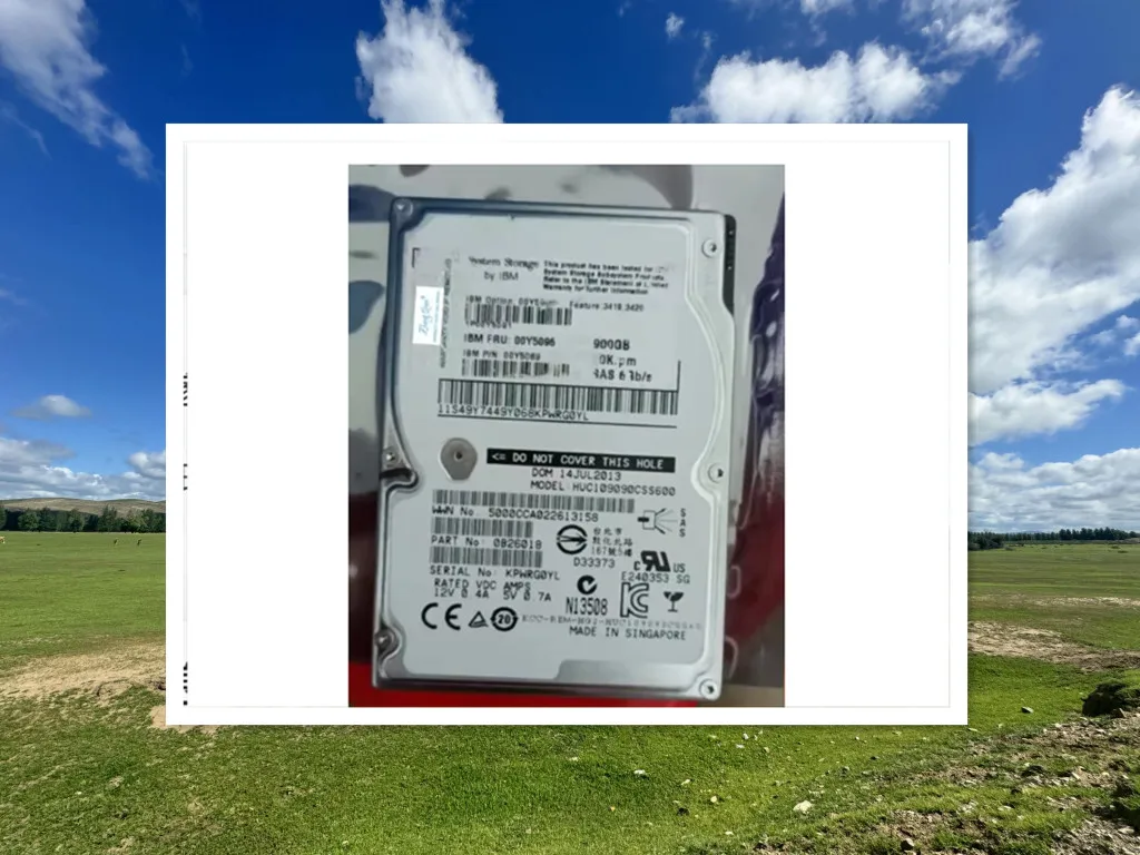 

For 00Y5089 00Y5096 00Y5091 2.5 SAS 900G 10K DCS3700