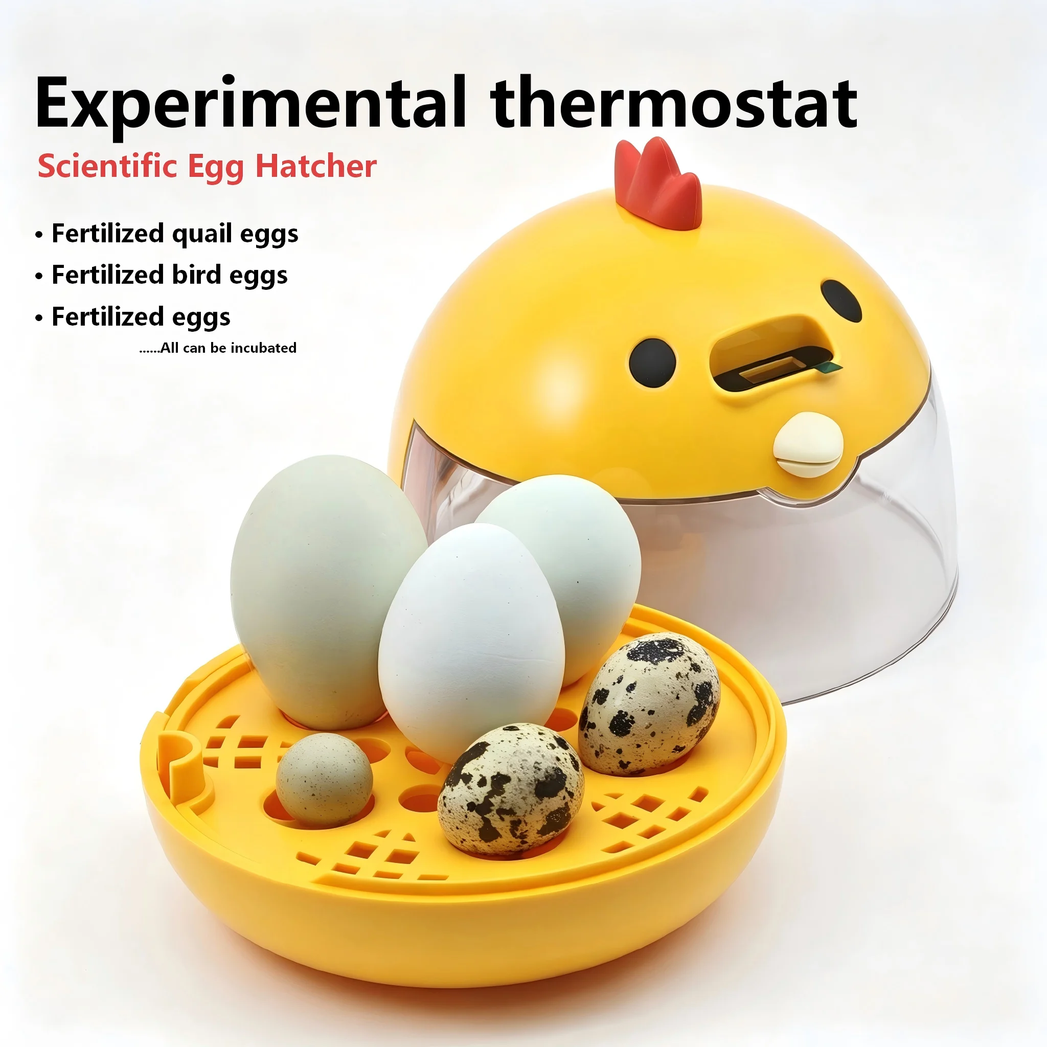 Mini Egg Incubator 5-10 Capacity Automatic Hatching Machine LED Display Temperature Control for Chicken Duck Poultry