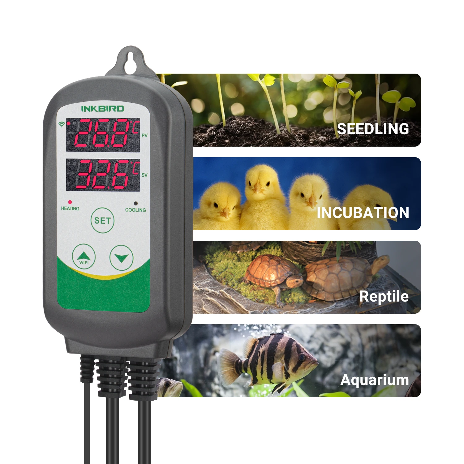 Imagem -05 - Inkbird Controlador de Temperatura do Aquário Itc308-wifi Termostato de Saída de Resfriamento de Aquecimento Inteligente com Sonda de Aquário à Prova Dágua
