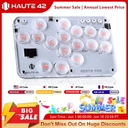 Haute42 Arcade Hitbox Controller Fight Stick PC Joystick Hitbox Controller Tastiera per Ps4/Switch/Steam Arcade Fighting PC