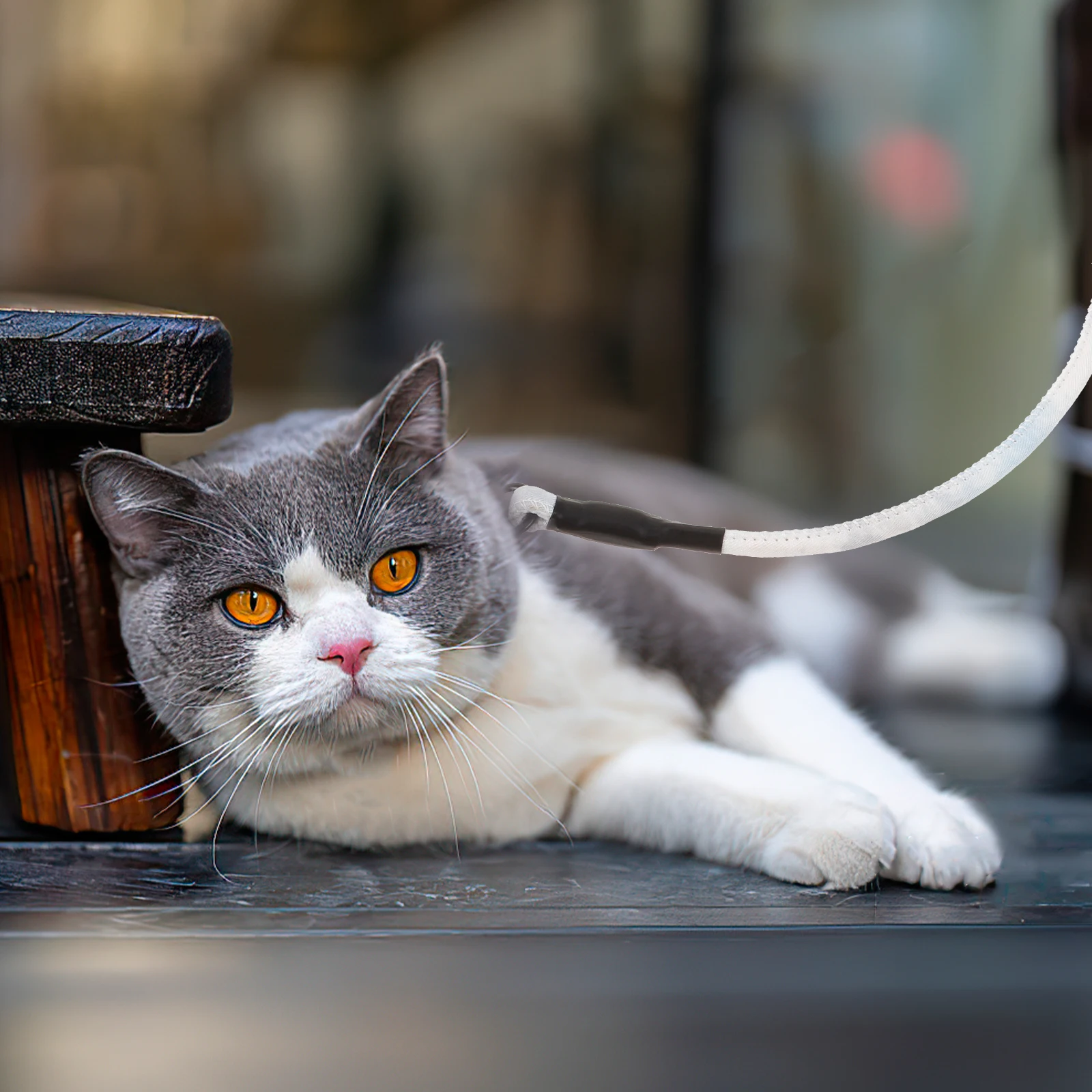 

Cat Harness Leash Set Small Blue Polyester Vest Strap for Kitten Walking Bow Tie Pet Costume Breathable Wear Resistant Cat