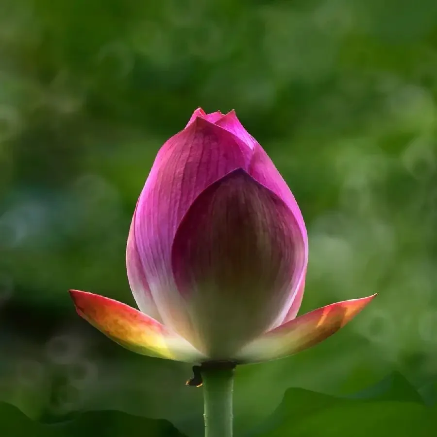 

4pcs 57mm 1.0" Metal Beadlock Wheel Tire Set For 1/18 RC Crawler Car TRX4M SCX24 AX24 FMS24 Upgrade Parts Accessories