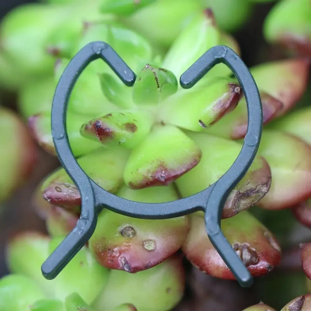 

100pcs Plastic Plant Garden Clips Double Efficient Planting Support Grippers Reusable Convenient Plant Support Fixed Clip