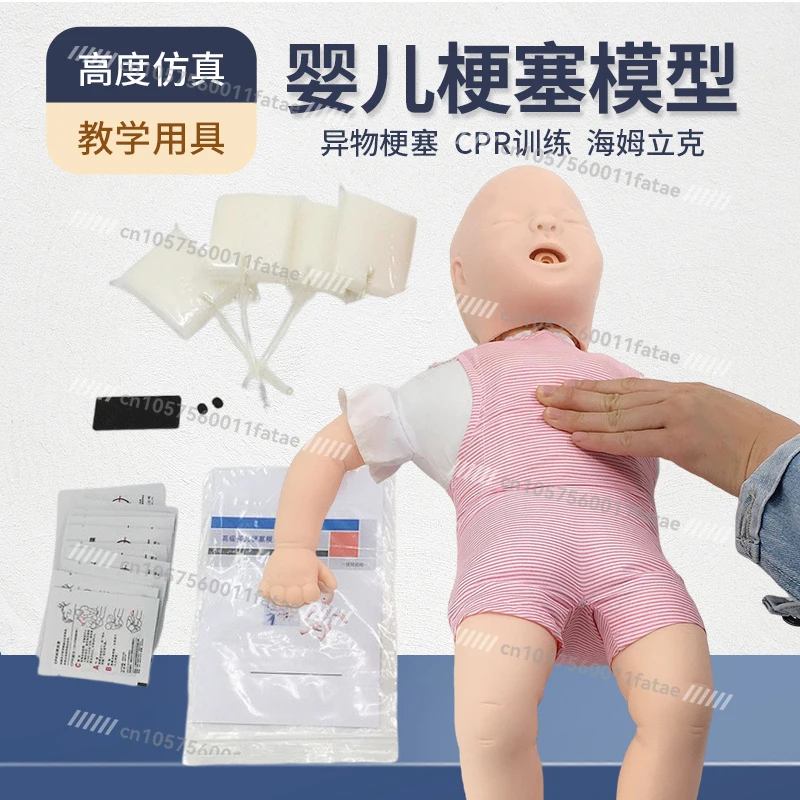 

CPR Manikin Medical Training Dummy for First Aid Education | Professional Practice Model