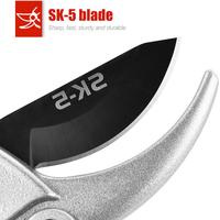 Pruner Horticulture Pruner Horticulture Leaf Trimmer Agriculture Scissor Gardening Scissor Garden Shears Garden Pruning Shears