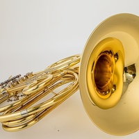JY Professional Brass Horn - High-Quality French Style Instrument with 3-Key Single-Row Flat Keys, B-Flat, Painted Golden Finish