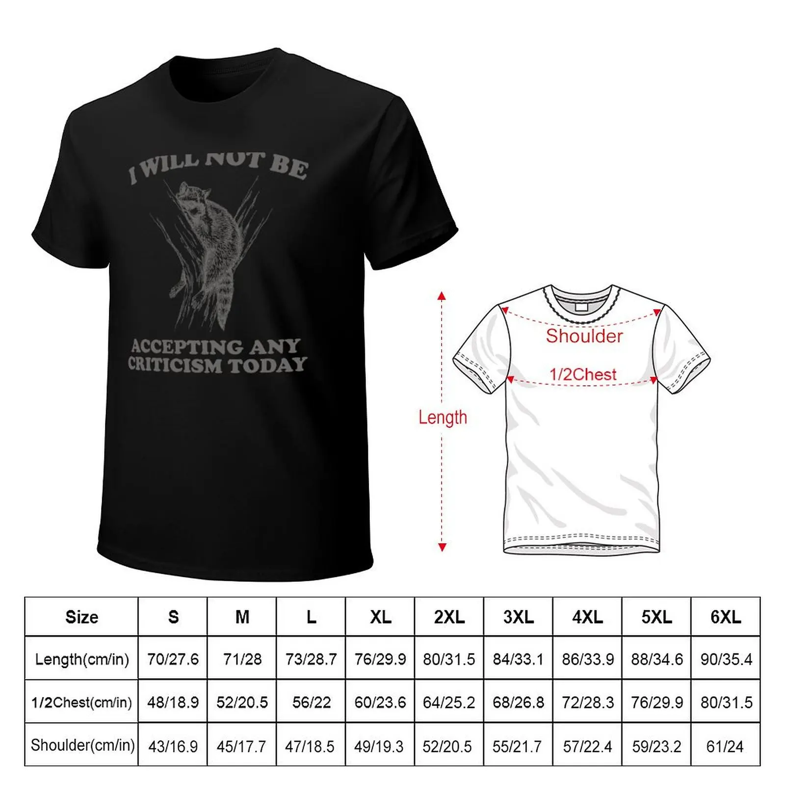 Will Not Be Accepting Any Criticism Today Retro Shirt, Funny Raccoon Meme T-Shirt Work Style Casual T-Shirt