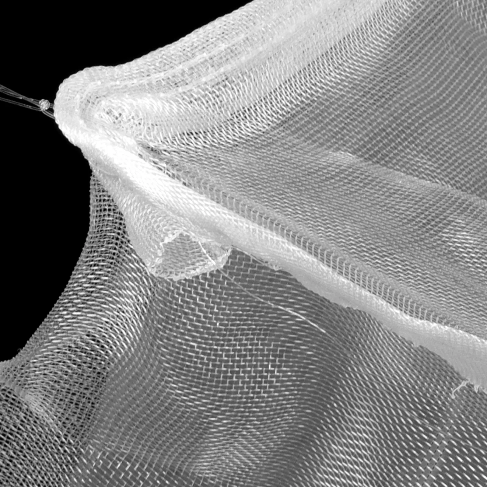 Bird Blocking Net Lightweight Pe Garden Netting for Garden Plants Fruit Tree Bird Prevention Netting Net for Birds