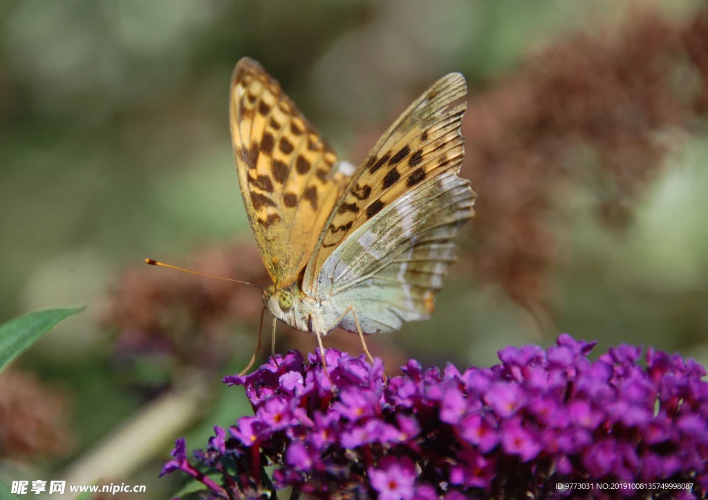 

1.9-дюймовые (75 мм) внедорожные шины для багги с 12-мм шестигранными ступицами для радиоуправляемых моделей Wltoys 144001, 1/12, 1/14, 1/10, Scx10, Trxs, Trx-4, Tamiya