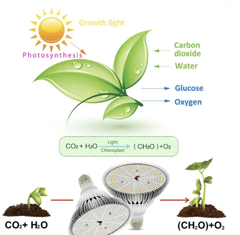 E27 full spectrum plant lamp 300W LED lamp cup Par38 solar energy full band plant lamp led grow light full spectrum