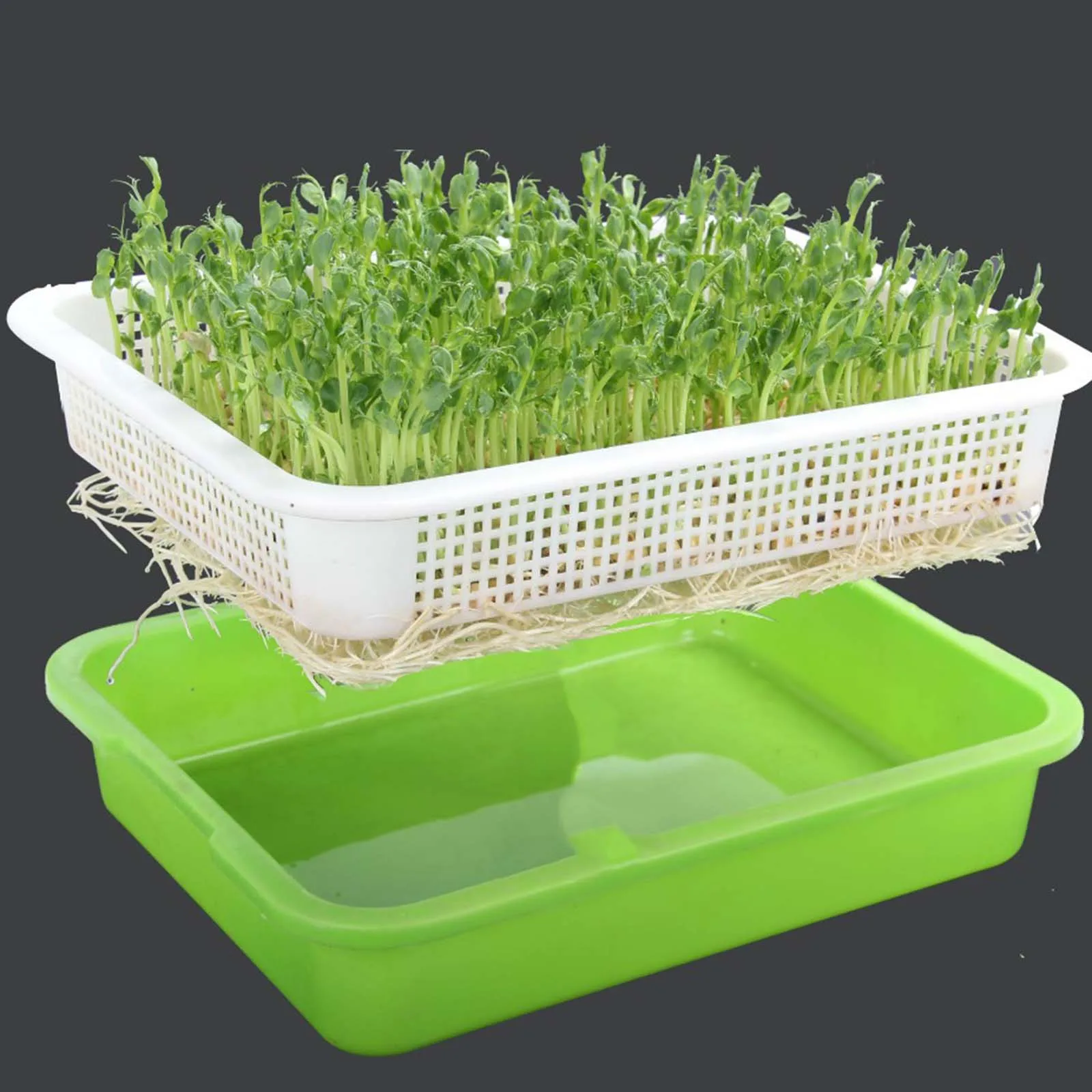 Seed Sprouter Tray Seed Germination Tray Reusable Wheatgrass Grower Sprouting Container Kit with Lid for Office Home Garden