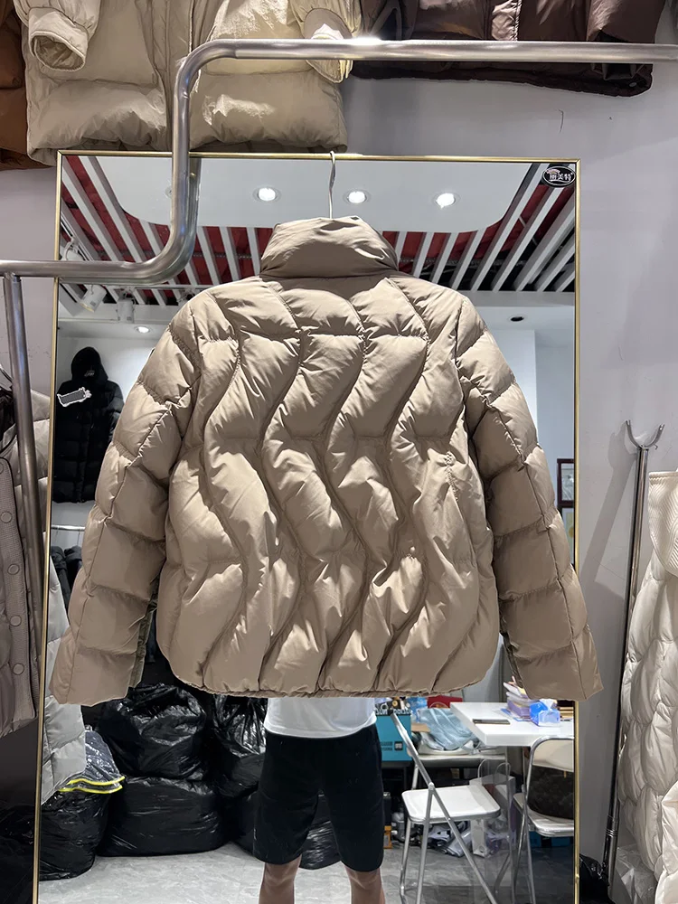Damen Winter neuer kurzer Daunenmantel koreanische Version Stehkragen Tasche Knopfband Brot weiße Ente Daunenjacke