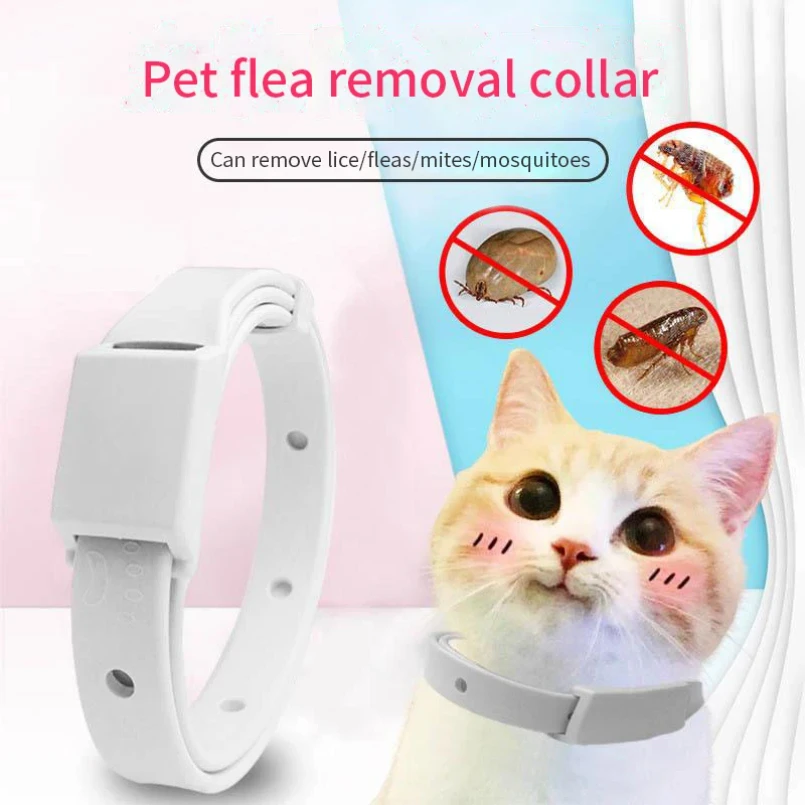 Collare anti-pulci per gatti Cani di piccola taglia Antiparassitario Protezione da 8 mesi Collare regolabile per cuccioli di gattino Accessori per animali domestici staccabili