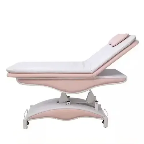 Electric Beauty Multifunctional Adjustable Massage Massage Couch Physiotherapy Spa Tattoo Embroidery Micro-Finishing Tattoo Bed