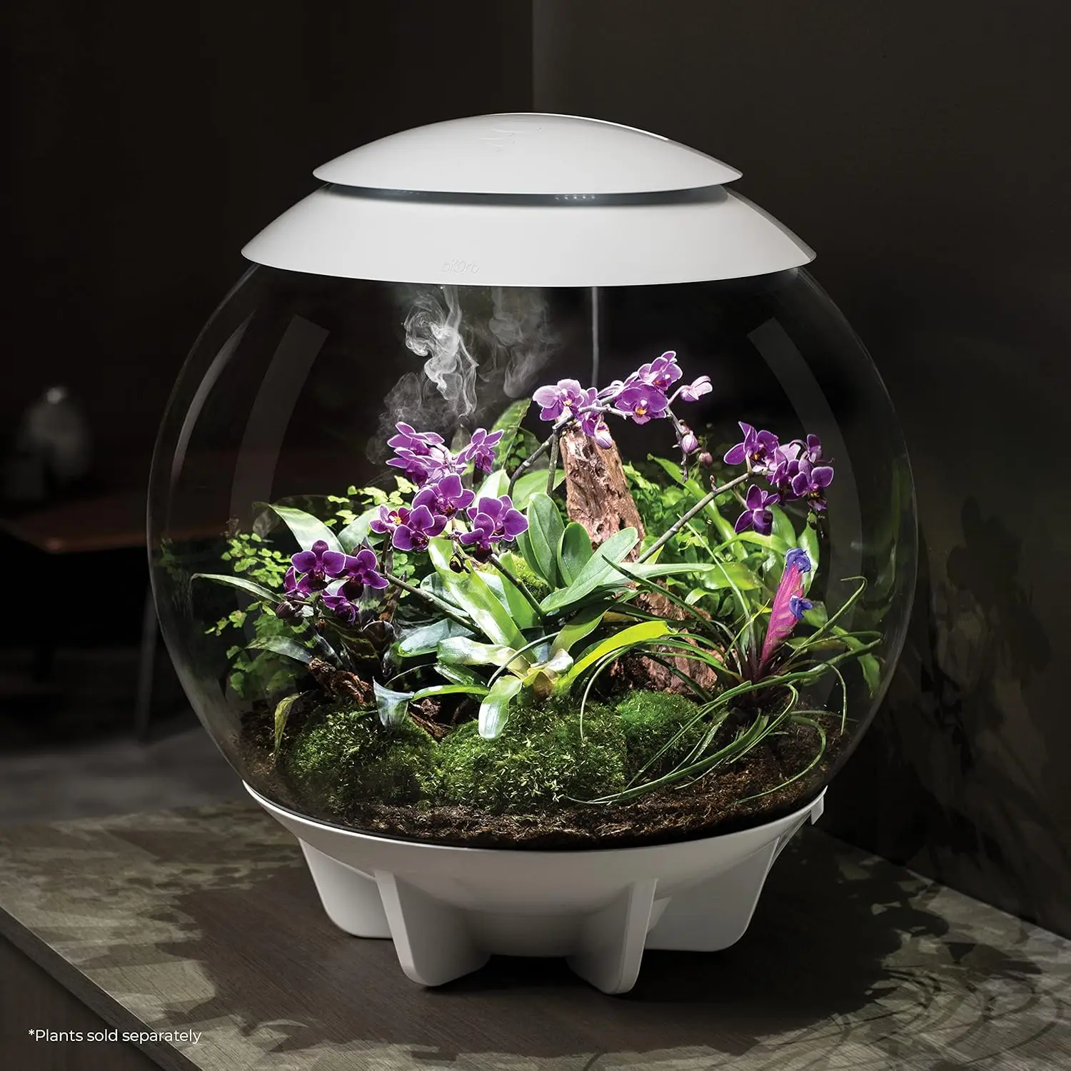 AIR 60 LED Terrarium 16 جالون أبيض (46147) 10 مرات أقوى من الزجاج، 50% ولاعة لها تصنيف شفاف بنسبة 93%