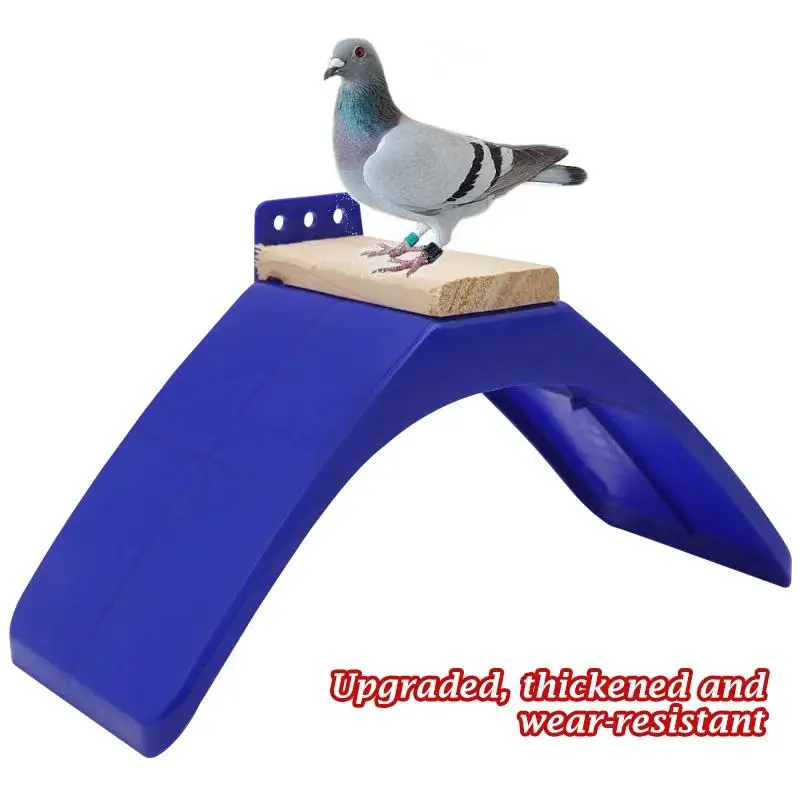 

20pcs Pigeon Perches Frame Dove Rest Stand Blue Dwelling Birds Frame Dwelling Perch Frame Roost Perches Bird Supplies