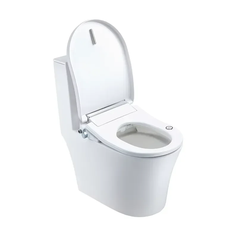 Smart Electric Bidet Seat with Adjustable Temperature Heating Function for Women Comfortable Toilet Cover Upgrade Home