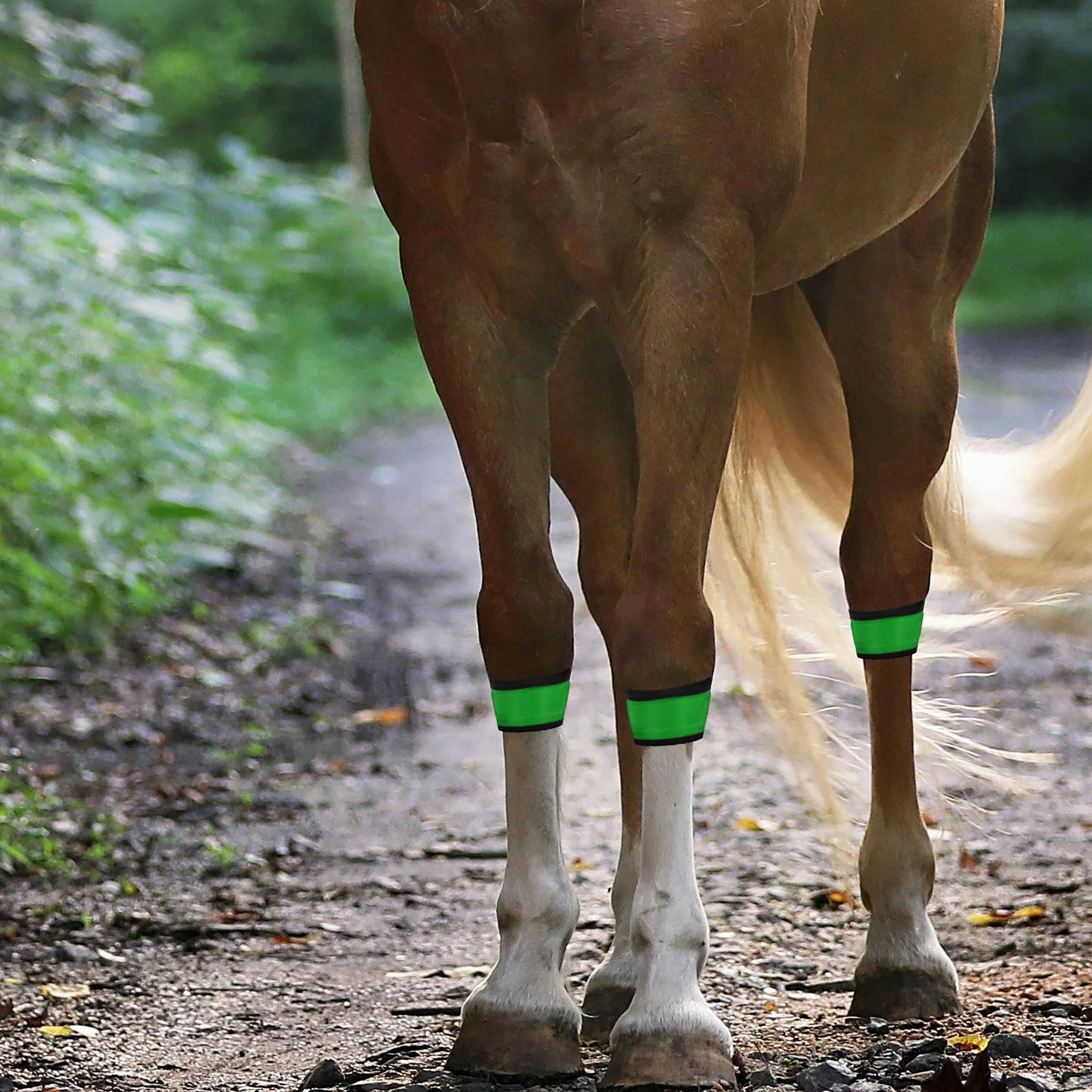 4 قطعة LED حزام الساق الحصان قابل للتعديل عاكس حزام الأمان الليلي العصابات عالية الوضوح لمعدات ركوب الخيل