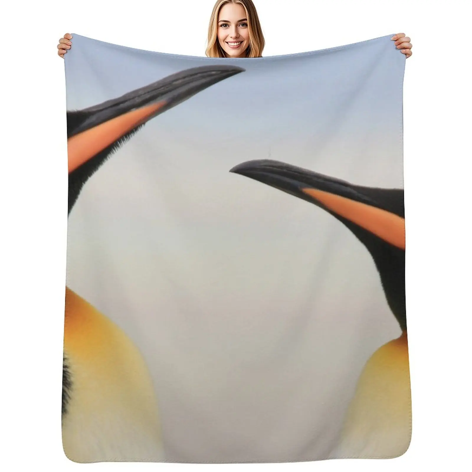 

Tapestries,Tapestry, Throw Blanket Soft Beds Softest Soft Plush Plaid Blankets