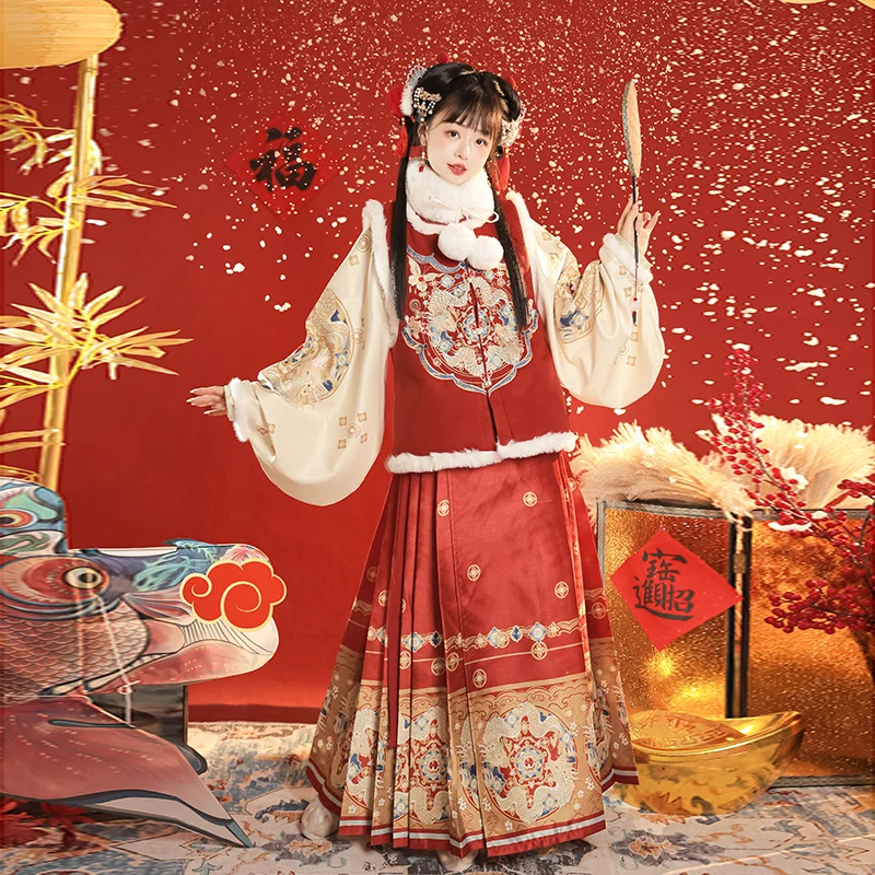 Ming Dynasty Hanfu Women's Chinese style Embroidered Bijia Horse Face Skirt New Year's Eve Dress Winter