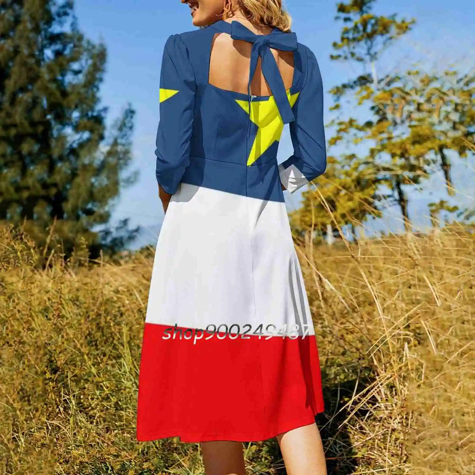 Acadian Flag-Drapeau Acadien Square Neck Dress Cute Loose Print Dresses Elegant Beach Party Dress Acadie Acadian Acadia Flag