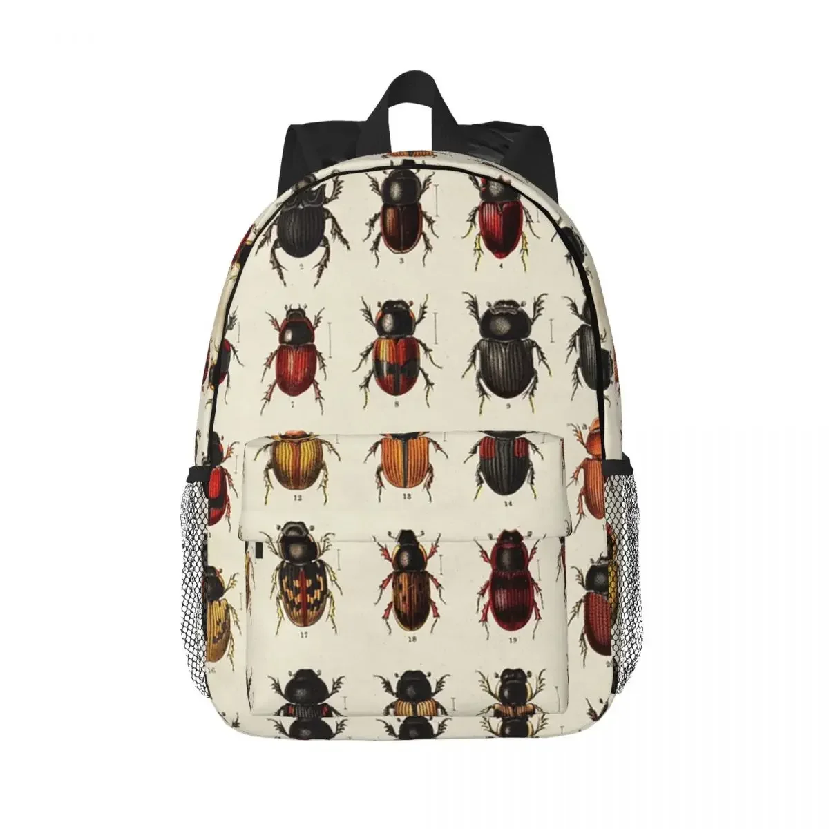 Beetle Chart, Entomology Backpacks Boys Girls Bookbag Fashion Children School Bags Laptop Rucksack Shoulder Bag Large Capacity