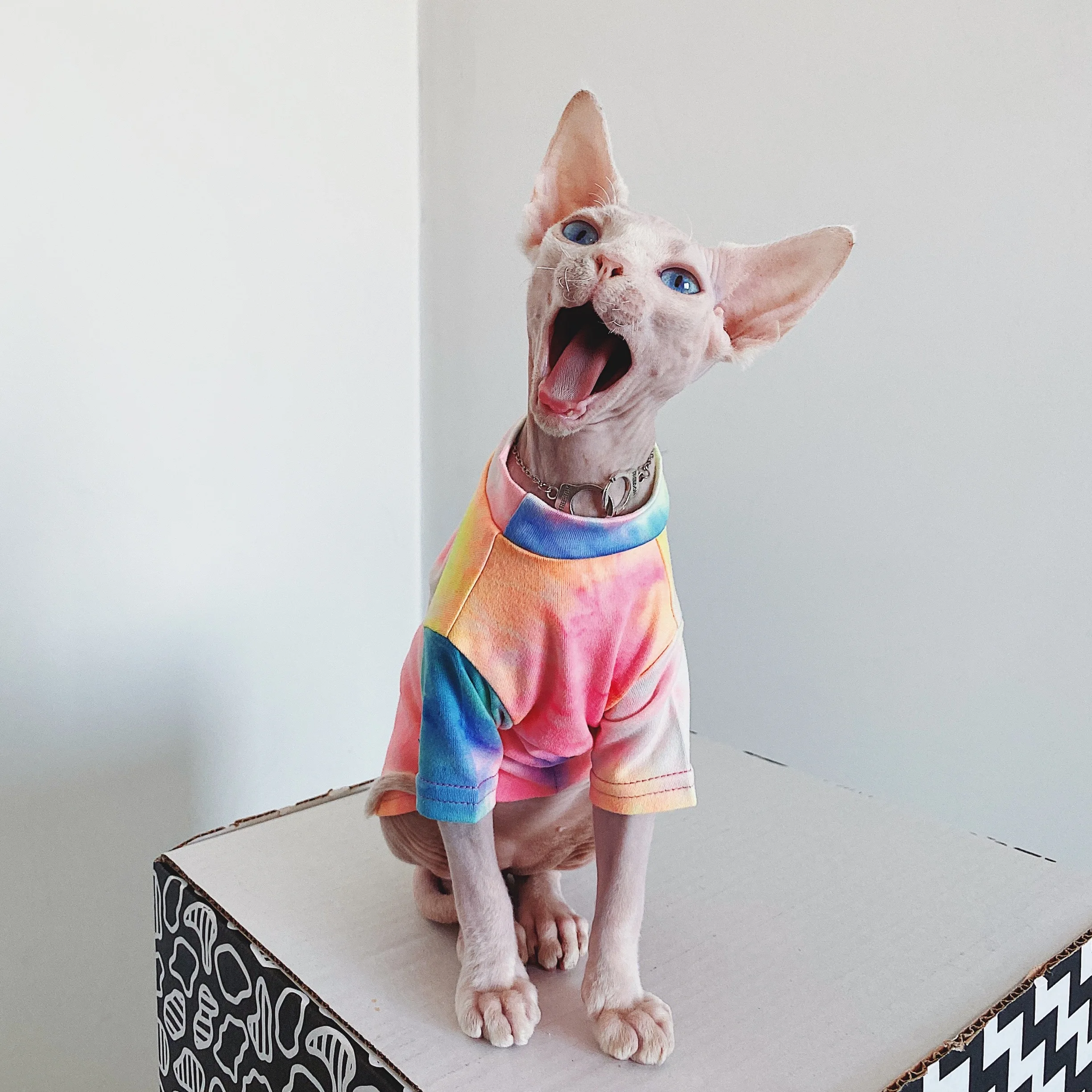 Apparels for Sphynx Cat Rainbow Rendering Cotton Undershirt for Devon Long sleeves Coat Kittens Summer Autumn Sphynx Supplier