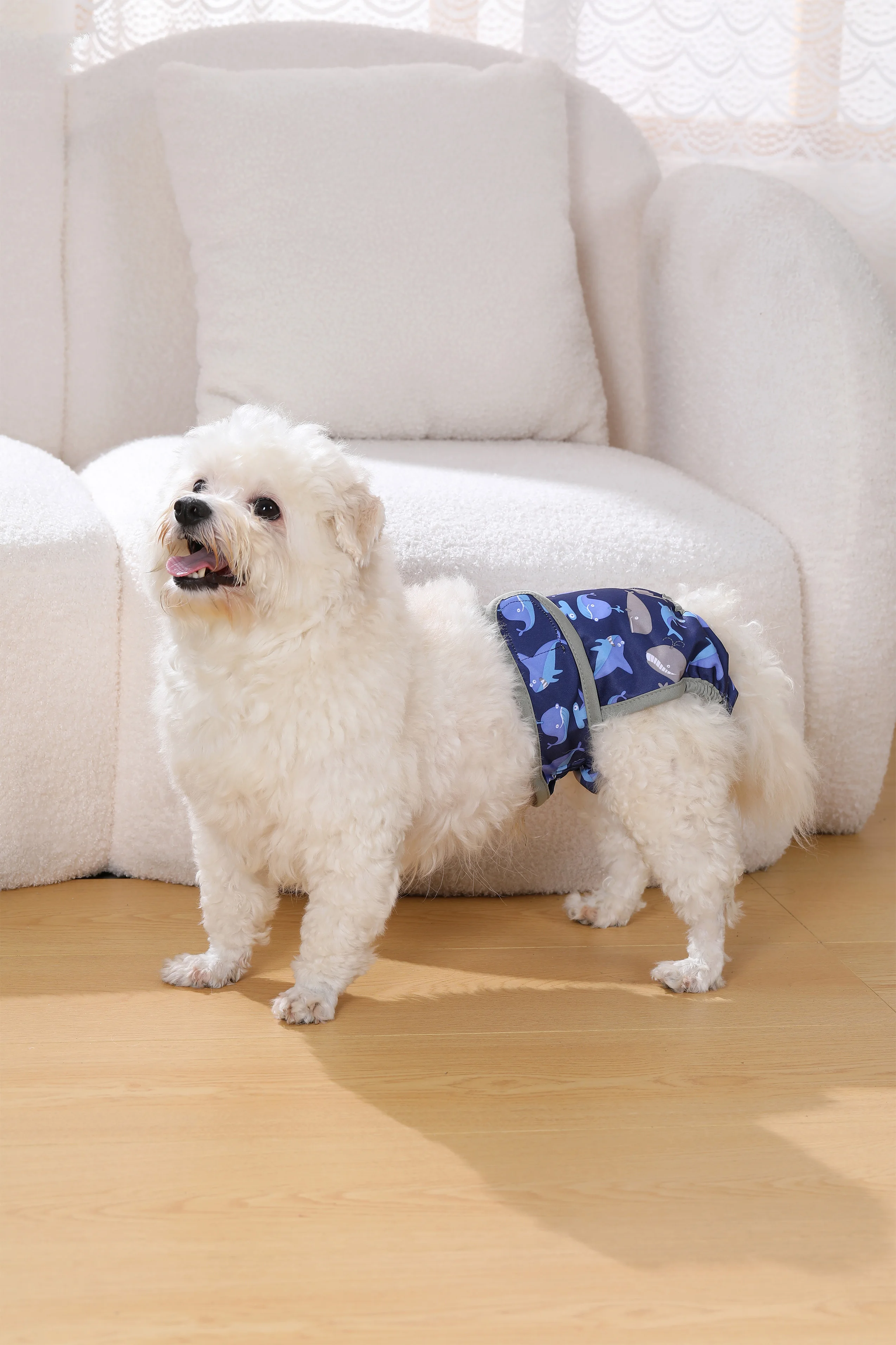 Thumbnail 3 - #65 Latest Dog Diapers Offers